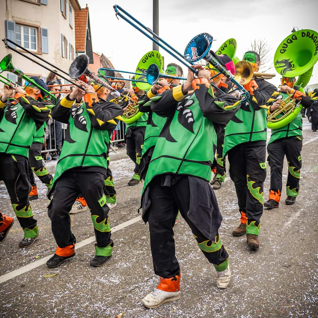 Gugg'Dragons — carnaval 14